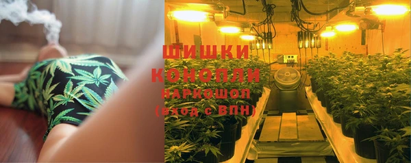 стаф Михайловск