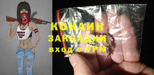 ГАЛЛЮЦИНОГЕННЫЕ ГРИБЫ Наволоки